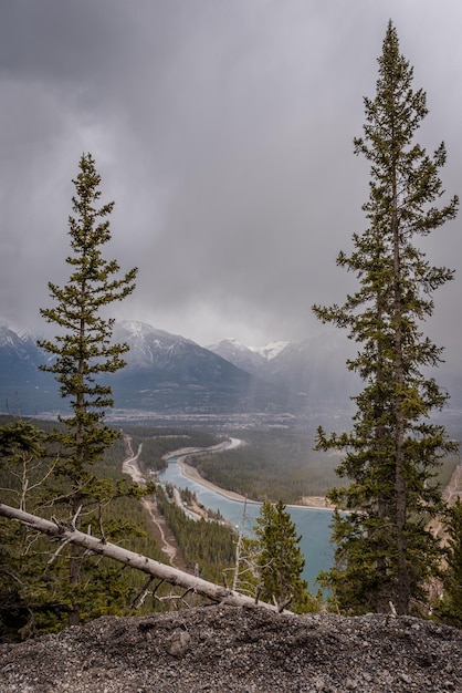 Evergreens omlijsten een uitzicht van bovenaf op Canmore en de Bow River in Alberta BC