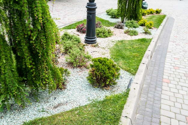 Evergreens with gravel in the decoration of the flowerbed in landscaping