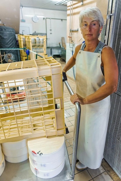 Evillers, france - august 31, 2016: cheese-maker working in the\
dairy for the production of gruyere de comte cheese in franche\
comte, burgundy, france.