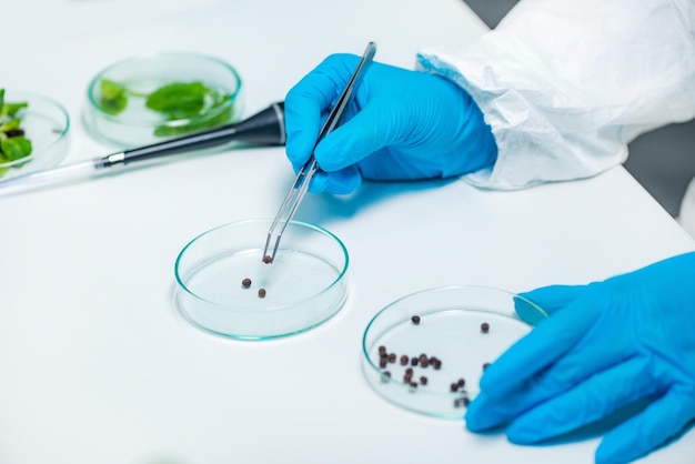 Photo examining seeds