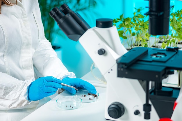 Photo examining seeds