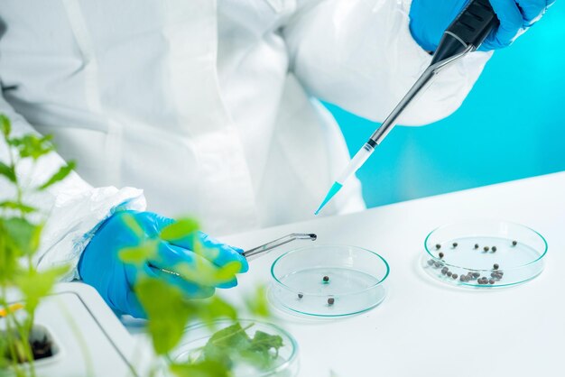 Photo examining seeds