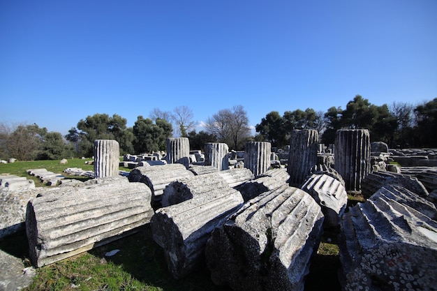 写真 ラギナのヘカテ寺院の発掘と古代の柱 ヤタガン ムグラ トルコ