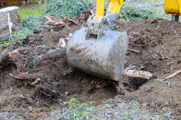 Excavator uprooting trees in clearing land from old trees, roots and branches with backhoe machinery in urban neighborhood.