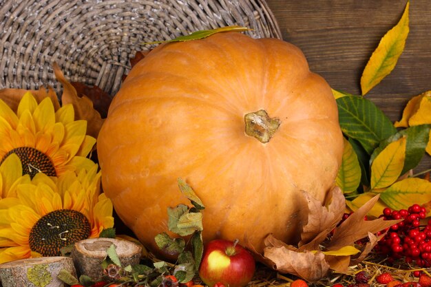 Excellent autumn still life with pumpkin on straw on wooden background