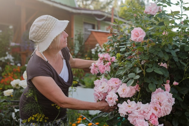 Excited mature caucasian female gardener caring blossoming bush roses in yard