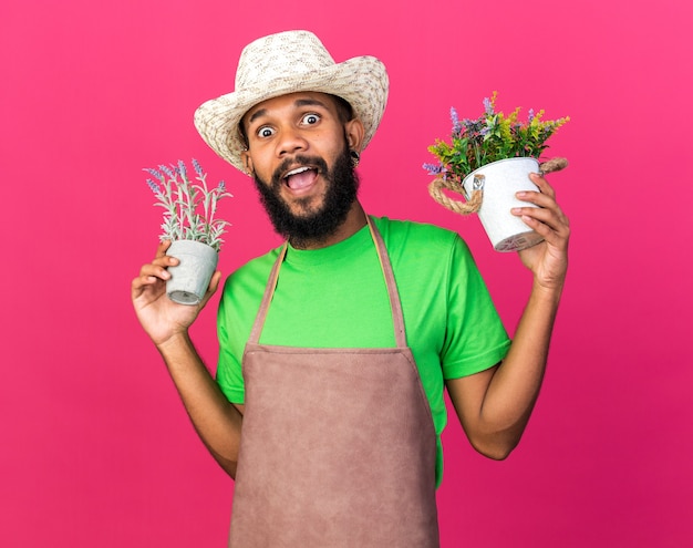 Excited young gardener afro-american guy wearing gardening hat holding flowers in flowerspot 