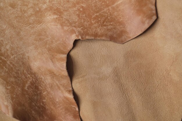 Photo exhibition featuring a range of beige leather swatches crafted with sustainable practices highlighting the shift towards ethicallysourced materials