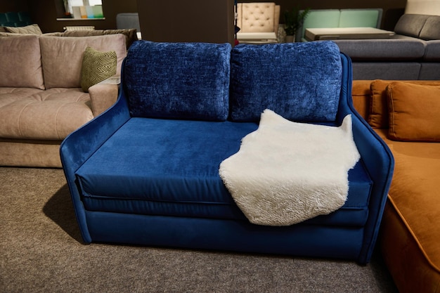 Exhibition of sofas and settees with different quality and\
texture of fabrics in the furniture store showroom focus on a blue\
small comfy couch on display for sale