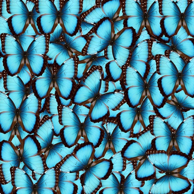 Exotic background many blue butterflies iridescent  wings morpho unusual texture original pattern