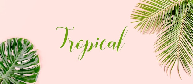 Photo exotic background pattern with tropical palm leaves monstera on pink background flat lay top view minimal concept