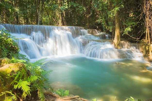 экзотический красивый тропический глубокий водопад тропического леса Свежие бирюзовые водопады в глубоком лесу