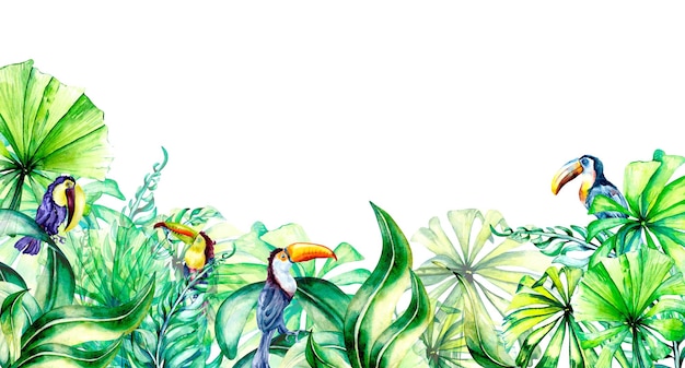 Exotic colorful banner with toucans palms watercolor illustration on white