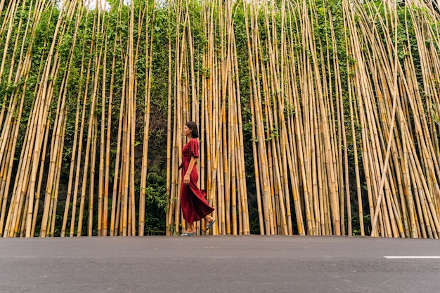 Exotic country. Pretty brunette female person standing in semi position while posing over bamboo background