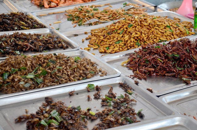 Cibo esotico insetto fritto nel mercato