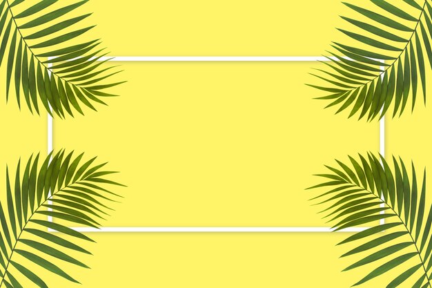 Фото Экзотические зеленые тропические пальмовые листья, изолированные на желтом фоне с белой геометрической рамкой дизайна