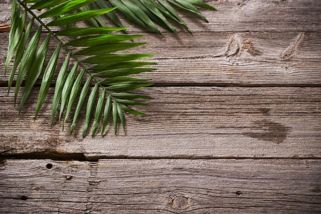 Exotic leaves on old wood background