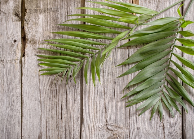 Exotic leaves on old wooden background