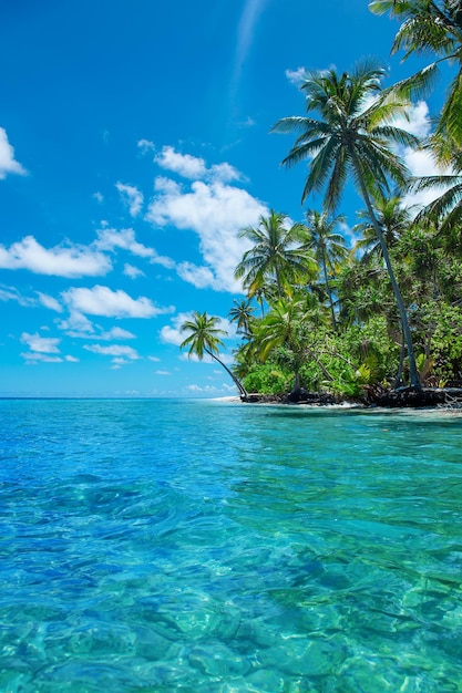 Foto paradiso esotico maldive resort vista sulla baia della laguna