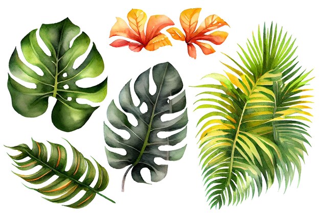 Exotic plants palm leaves monstera on an isolated white background watercolor botanic illustration