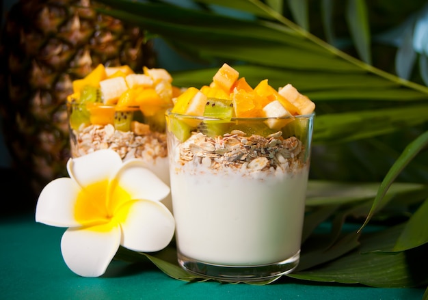 Экзотический тропический фруктовый салат с мюсли и йогуртом в бокалах на пальмовых листьях.