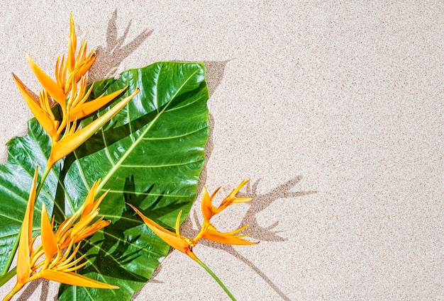 Exotic tropical orange flower Bird of paradise and large green leaf on sand background, copy space, top view