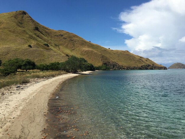 Exotisch strand