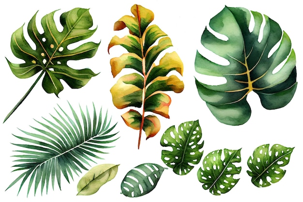 Exotische planten palmbladeren monstera op een geïsoleerde witte achtergrond aquarel botanische illustratie