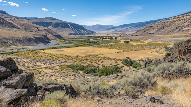 Photo expansive grassland views