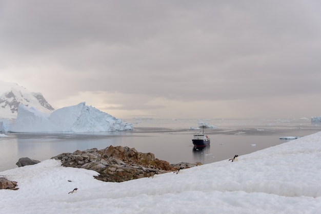 Экспедиционный корабль в Антарктическом море