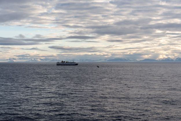 Фото Экспедиционный корабль в арктическом море, шпицберген. пассажирское круизное судно. арктический и антарктический круиз.