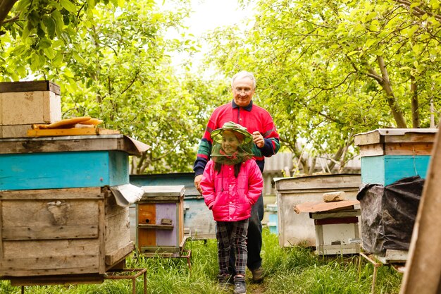 Опытный дедушка-пасечник учит внучку ухаживать за пчелами. Пчеловодство. Концепция передачи опыта