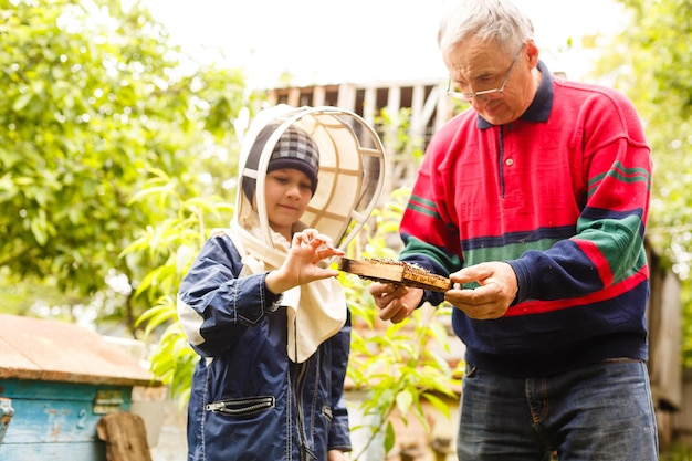 Experienced beekeeper grandfather teaches his grandson caring for bees. Apiculture. The concept of transfer of experience