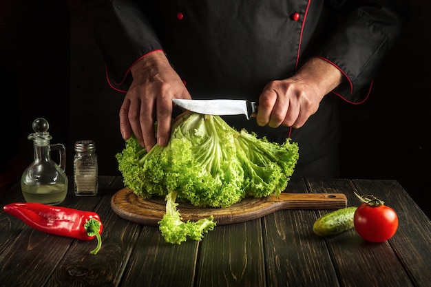 Experienced chef cuts lettuce with a knife for vegetarian food in the kitchen