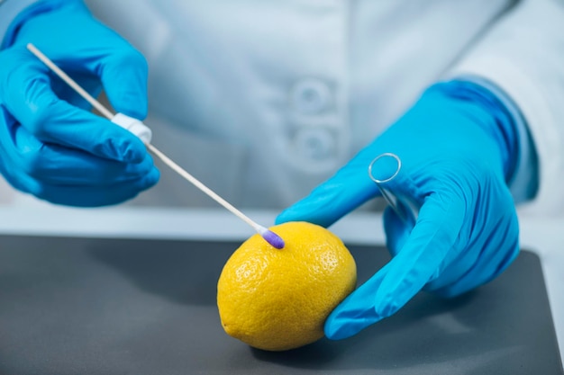 Expert voor voedselkwaliteitscontrole die citroenfruit in het laboratorium onderzoekt