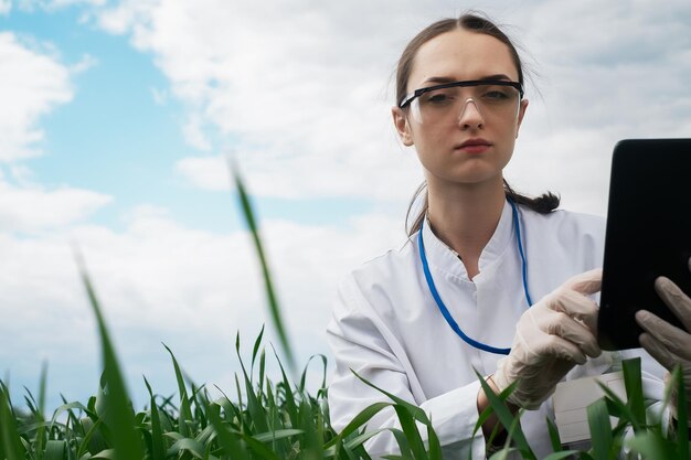 Exploring a reclaimed field agriculture business concept Lifestyle farmer inspecting wheat