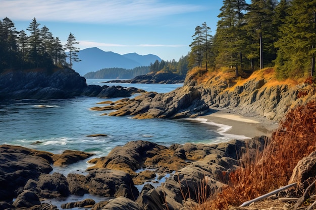 Exploring the untamed beauty of vancouver island's wild canadian shoreline