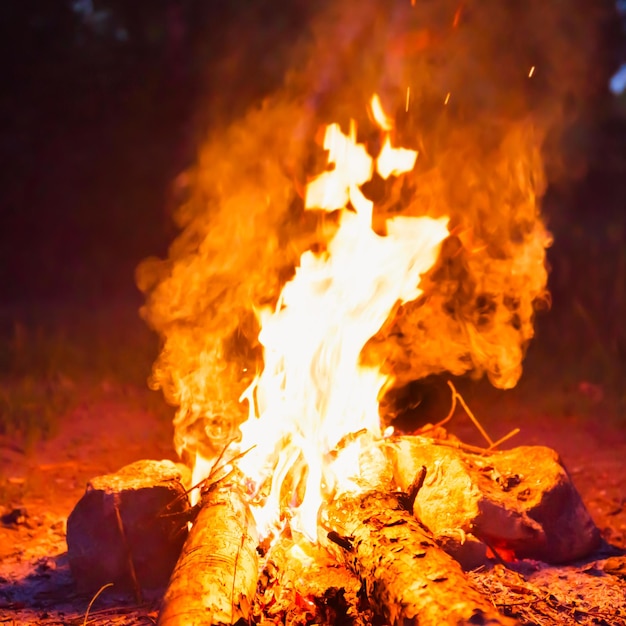 Explosion shell fire in forest