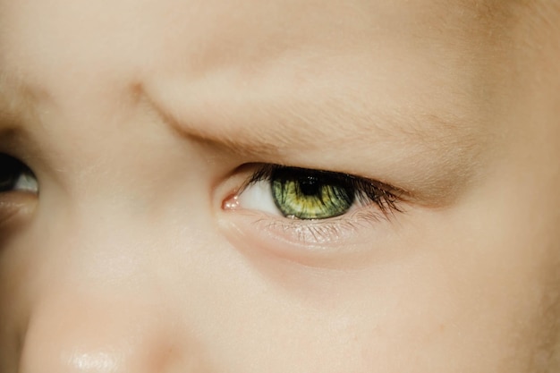 写真 小さな子供の表情豊かな表情 赤ちゃんの目のクローズアップ 灰色の緑の虹彩