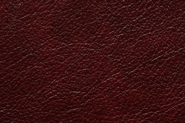 Exquisite leather texture in contrast dark red colour