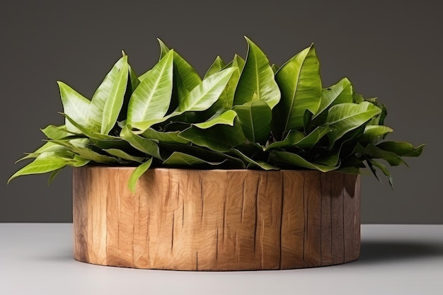 Photo exquisite product display round wooden saw cut cylinder with sea mango leaves showcasing the beaut