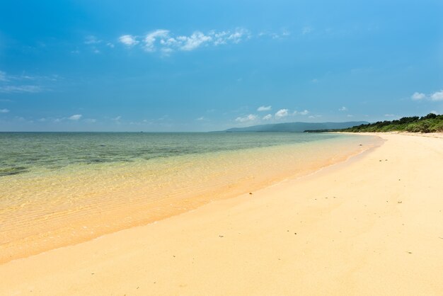 Extensive white sand beach, emerald green sea, coastal vegetation. Iriomote Island.