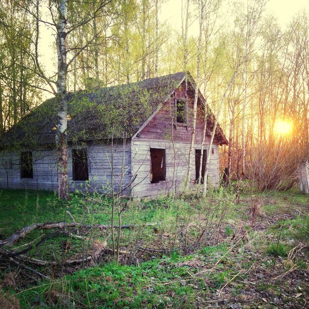 Foto esterno di una casa abbandonata nella foresta