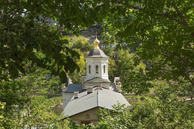 Foto esterno dell'edificio contro alberi e piante