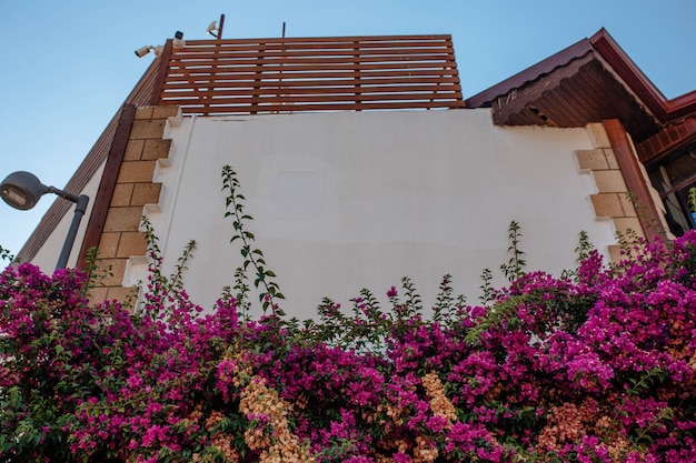 Exterior of the buildings. The facade of the modern building is decorated with fresh curly flowers. House exterior design concept.