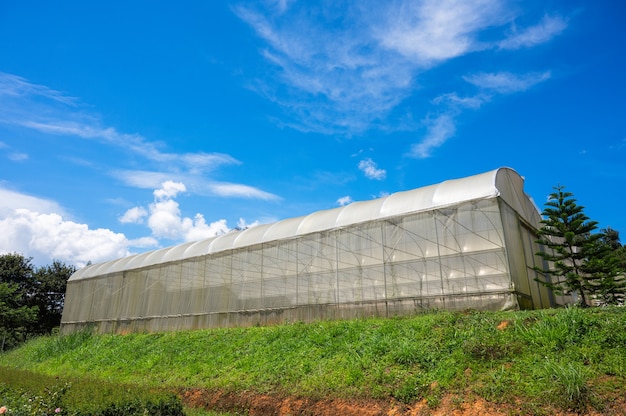 The exterior Polyethylene plastic facade of commercial greenhouse.