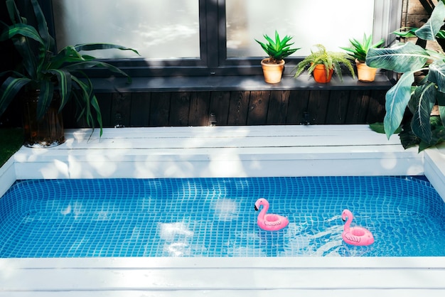 Exterior terrace with swimming pool in the house Pink inflatable flamingos in pool water