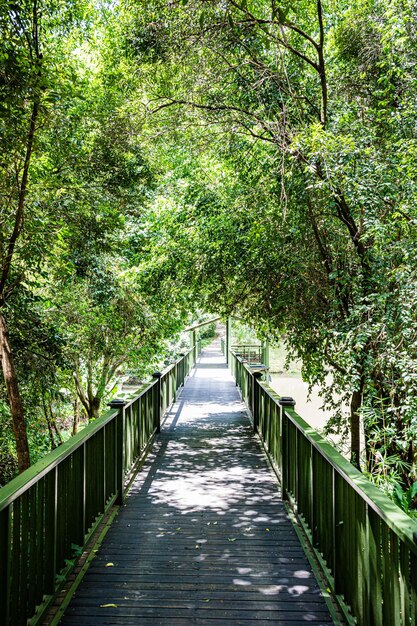 Photo exteriors outdoors gazebo greenry areas bridge in maasai mara national game reserve