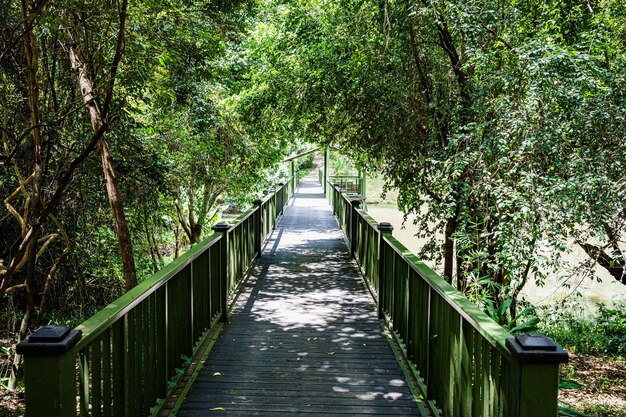 Photo exteriors outdoors gazebo greenry areas bridge in maasai mara national game reserve