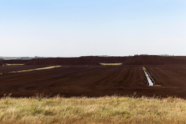 Extraction of peat